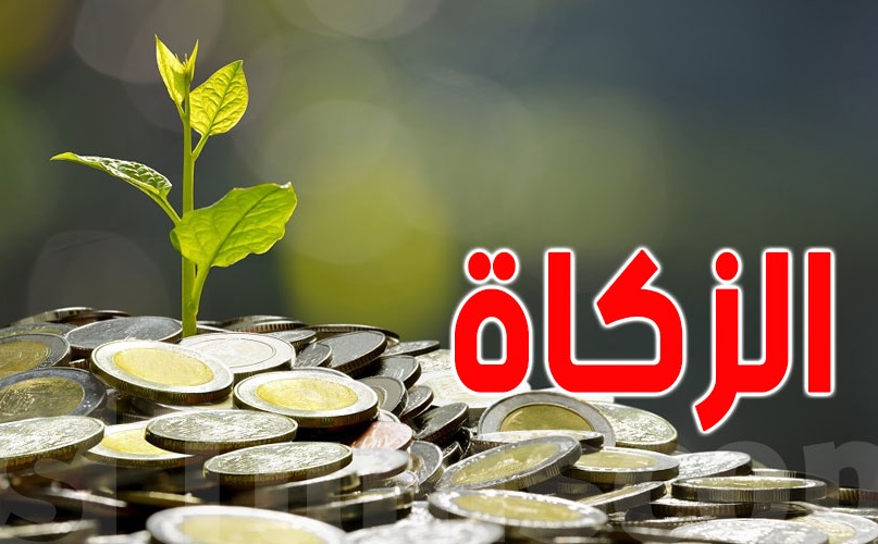 كاتب مصري: فتوى الزكاة دعوة ملكية لتعزيز قيم التكافل والعدالة الاجتماعية